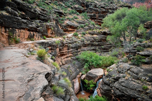 grand canyon bright angel trail