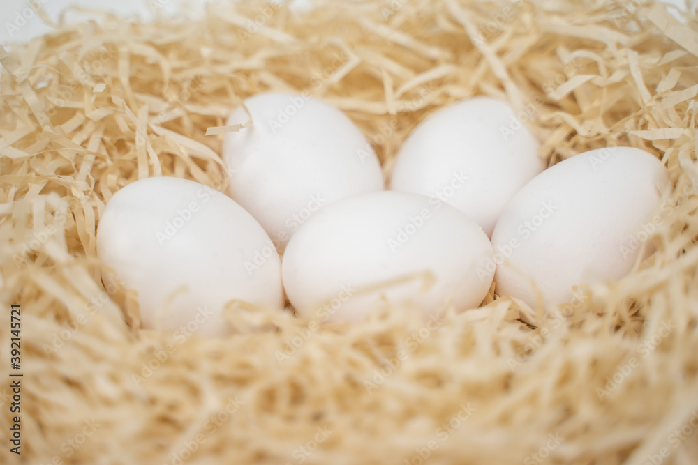 White chicken eggs in the hay. Organic products. White chicken eggs in the hay. Organic products.