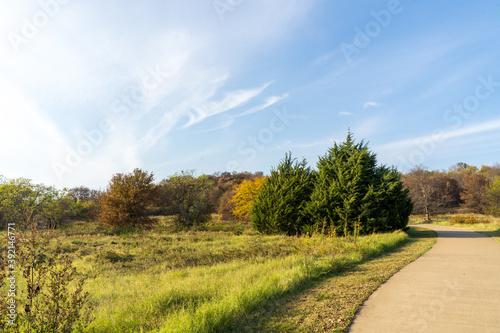 road in the autumn