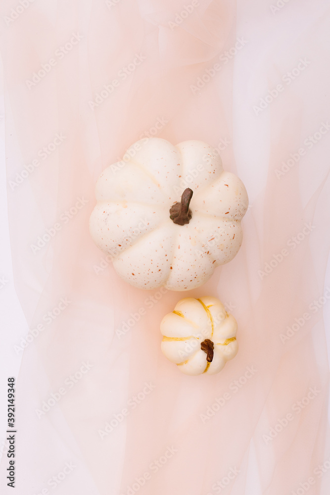 Soft pastel color pallet for the pumpkin background. Autumn. White pumpkins on nude colored fabric. Bloggers calm and soft Thanksgiving background.