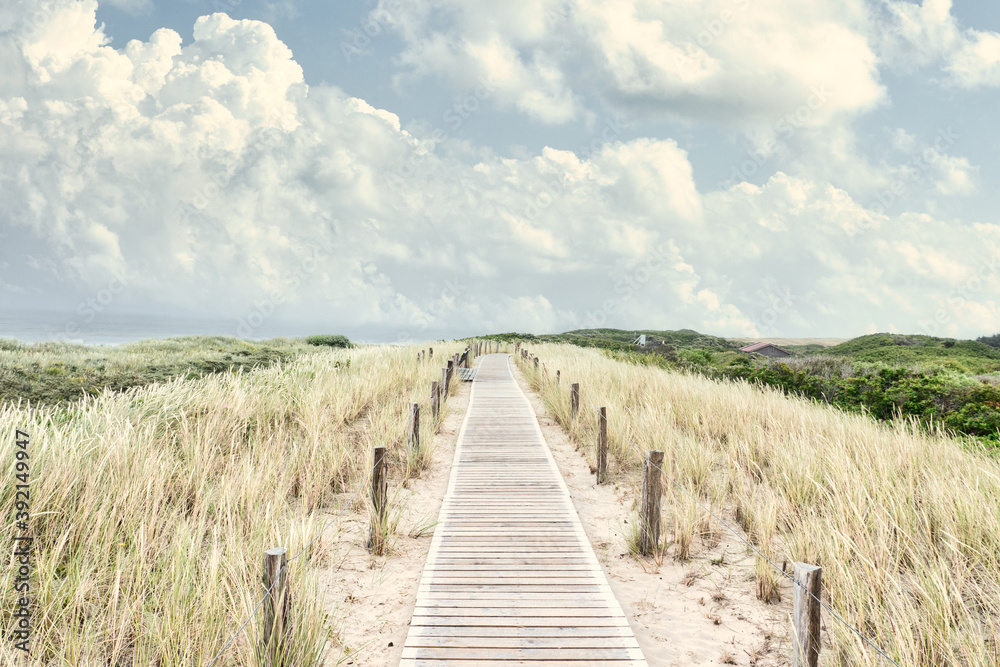 Planked Walkway on Grassy Landscape