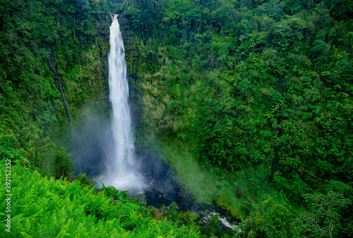 Akaka falls hawaii photo
