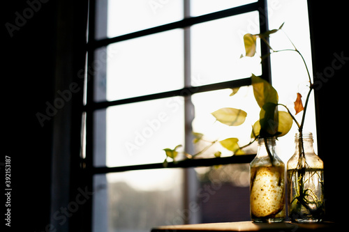 dirty vase bottle in the window
