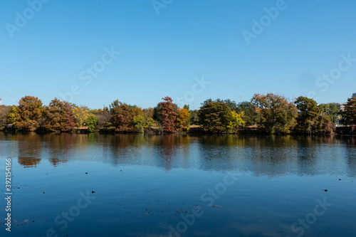 Fall Leaves Along Lady Bird Lake Austin Texas © Melanie