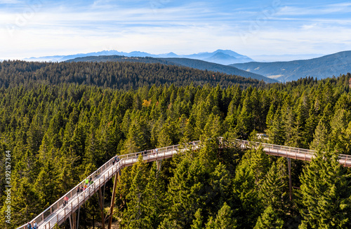 ROGLA, SLOVENIA - Oct 31, 2020: Wooden walkway above treetops. photo