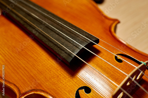 Violin, close-up. The fingerboard of the violin. Classical musical instrument
