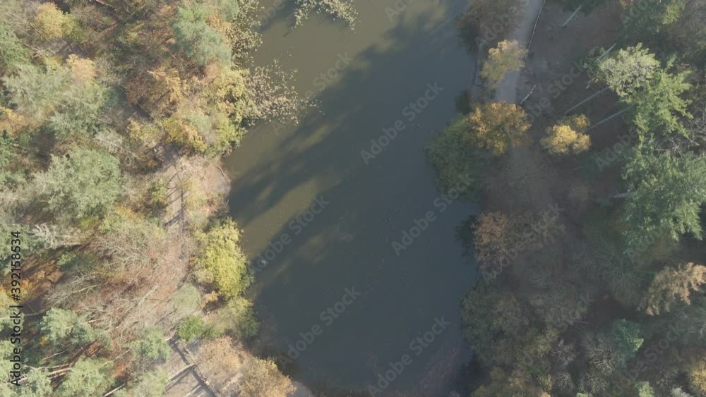 top down aerial of lake surrounded by forest in autumn top down aerial of lake surrounded by forest in autumn