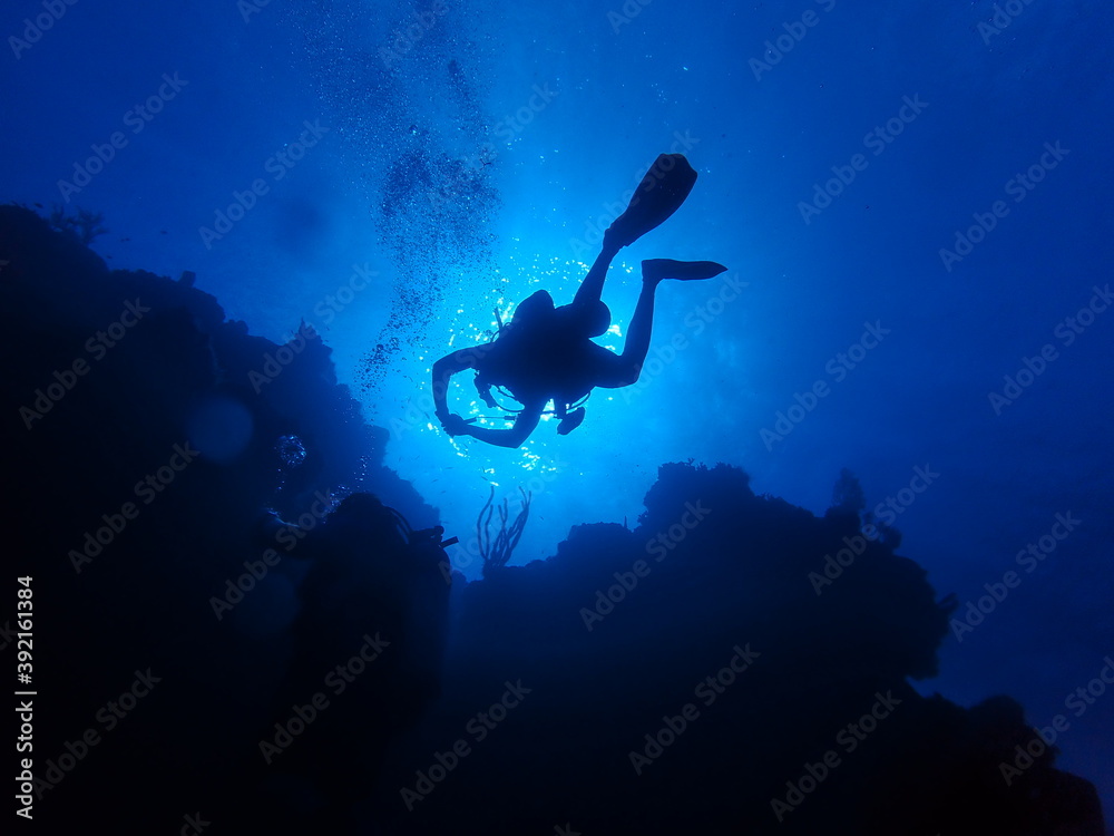 Diver Silhouette Diver Silhouette