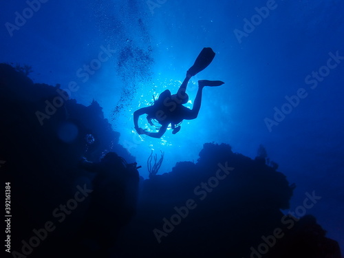 Diver Silhouette