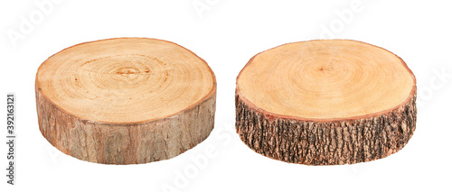  tree stump isolated on white background with clipping path