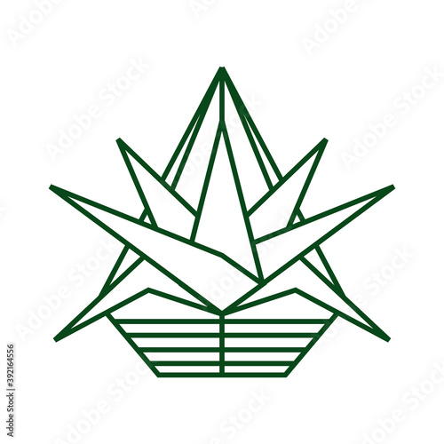 geometric thin line succulent plant terrarium vector icon