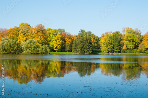 reflection of autumn forest in blue lake in the park 