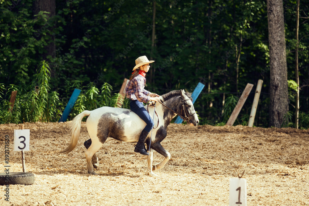 Young girl on the horse afield. Equestrian girl. Cowgirl Young girl on the horse afield. Equestrian girl. Cowgirl