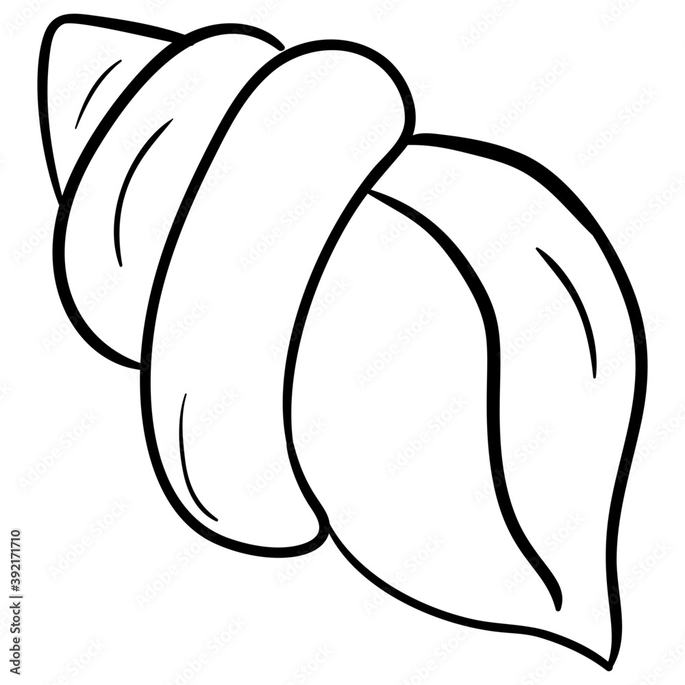 Shell Shell