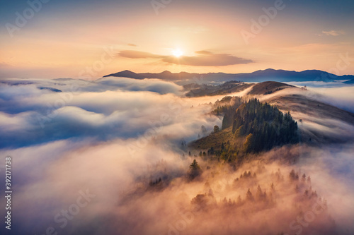 Magic sunrise in Carpathian mountains. Amazing morning view from fliying drone of the misty valley. Thick fog spreads over the mountain ranges. Beauty of nature concept background..