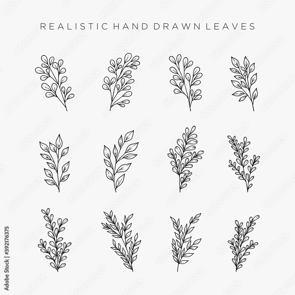 Fototapeta premium Set of realistic hand drawn flowers and leaves elements. botanical flowers premium vector 