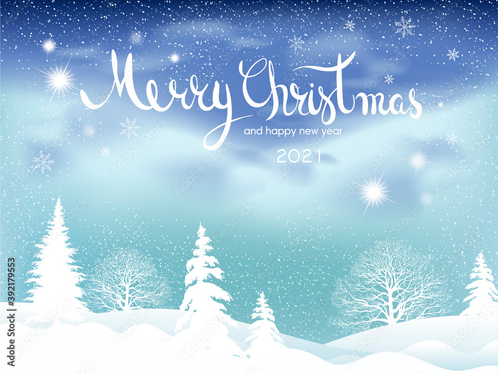 Merry Christmas and New Year  winter holiday  background. Season night landscape with snowflakes. Vector illustration for card design.