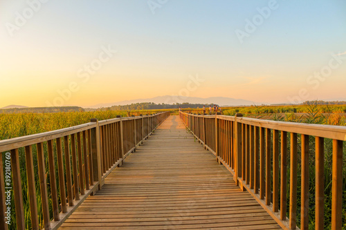 Fototapeta Naklejka Na Ścianę i Meble -  wooden bridge in the morning