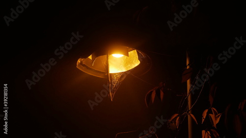 Laterne mit Spinnennetz im Nebel in einer November Nacht