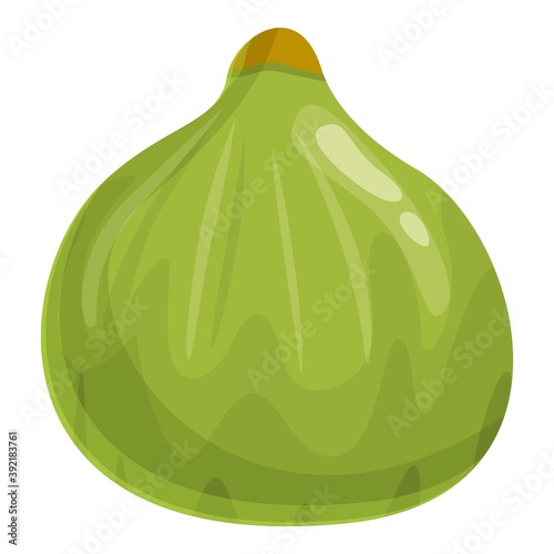 Raw fig icon. Cartoon of raw fig vector icon for web design isolated on white background