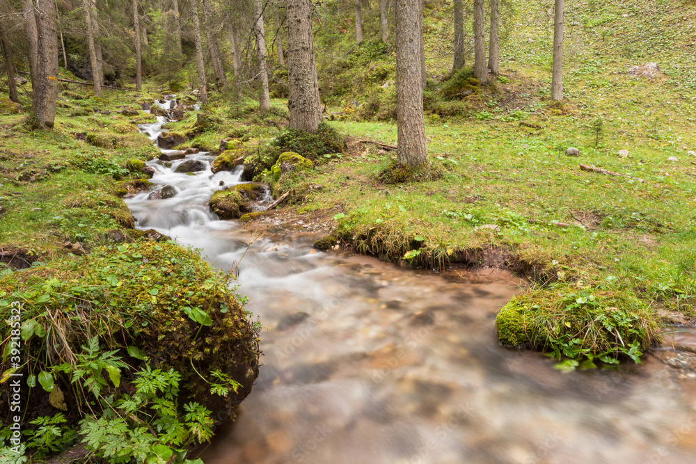 Fototapeta premium A mountain stream flows in the misty forest