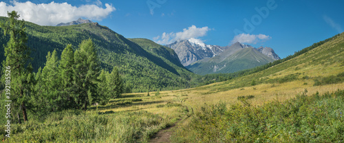 Mountain landscape, panoramic view. Summer greenery, sunny day.
