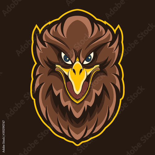 hawk head vector illustration design