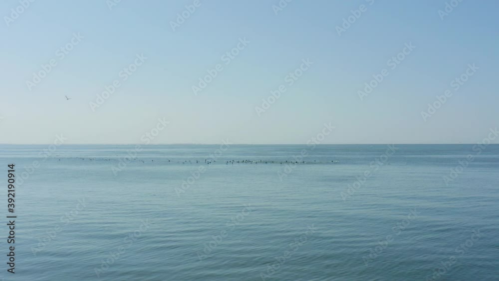 Beautiful view of sea with flying seagulls under blue cloudless sky, slow motion effect