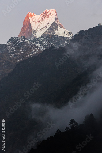 Machapuchare at sunset from Dovan, Nepal photo