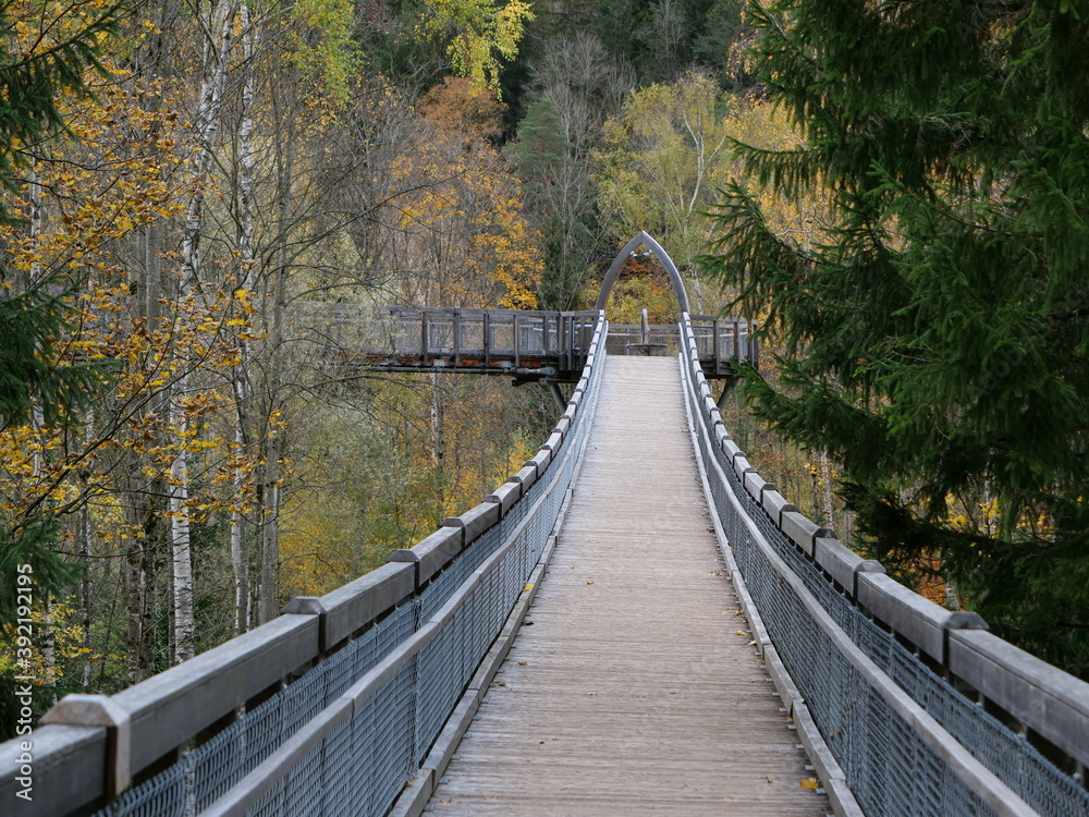 Weg auf hohen Stegen und kleinen Brücken durch Baumkronen bei Füssen im Allgäu
