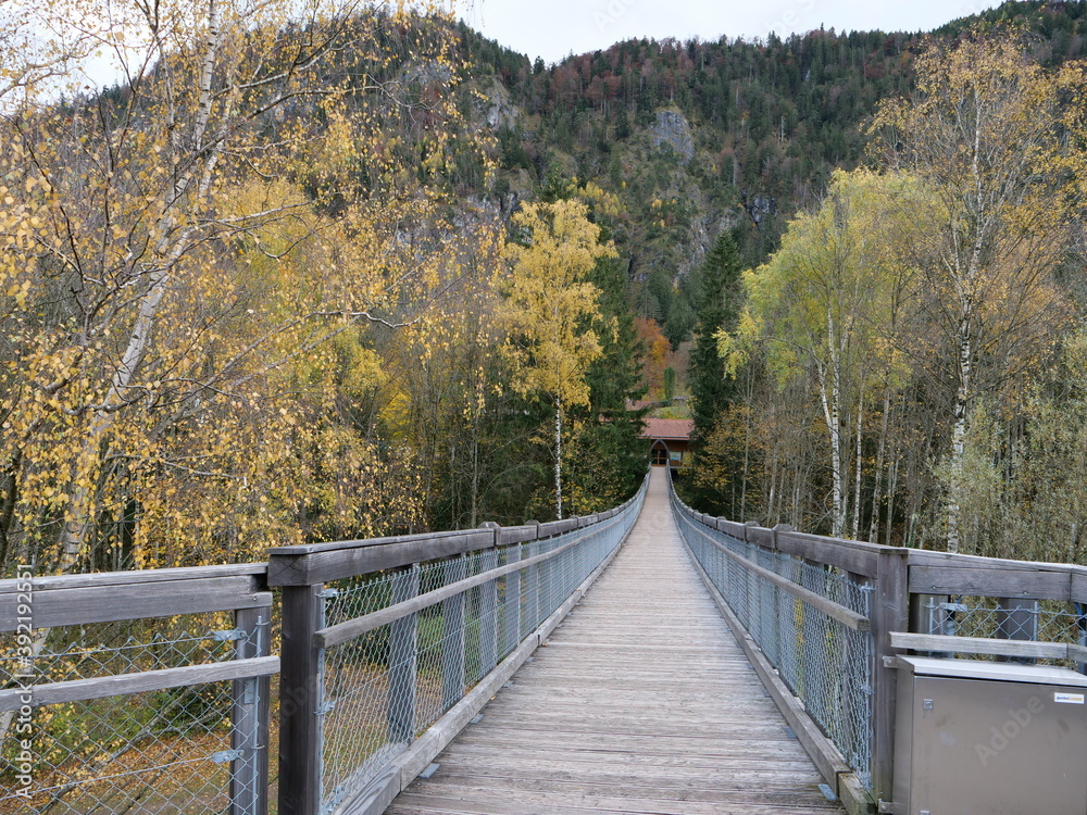 Weg auf hohen Stegen und kleinen Brücken durch Baumkronen bei Füssen im Allgäu