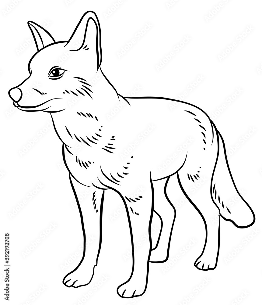 In the animal world. Image of a fox. Black and white drawing, coloring.