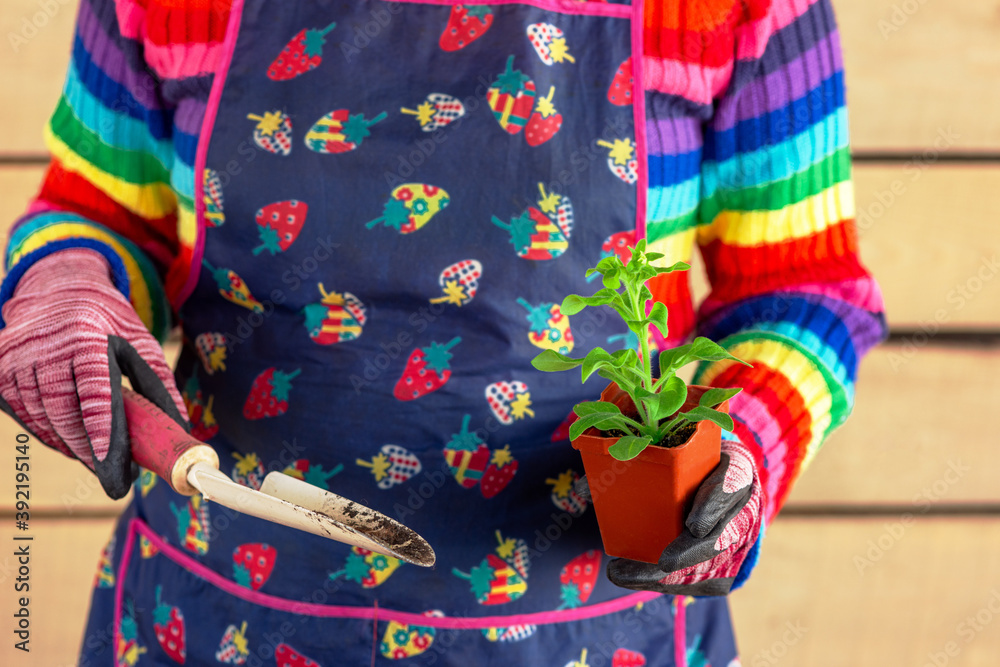 Girl in an apron planting flower seedlings in pots