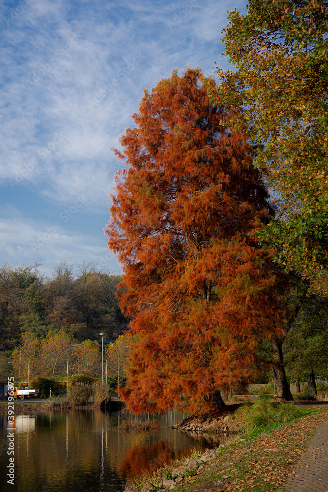 Herbstland