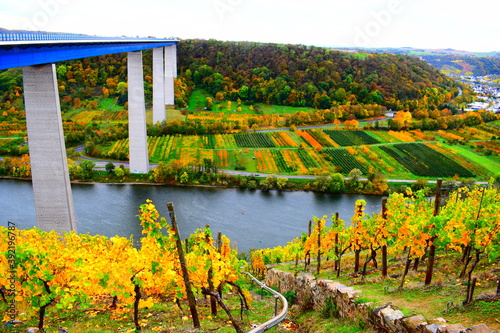 herbstlich gefärbtes Unteres Moseltal im Bereich Winninger Brücke und Dieblich photo