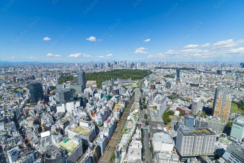 東京風景　地平線と青空と緑　2020年9月　渋谷から望む大都会
