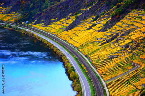 herbstlich gefärbtes Unteres Moseltal im Bereich Winninger Brücke und Dieblich photo