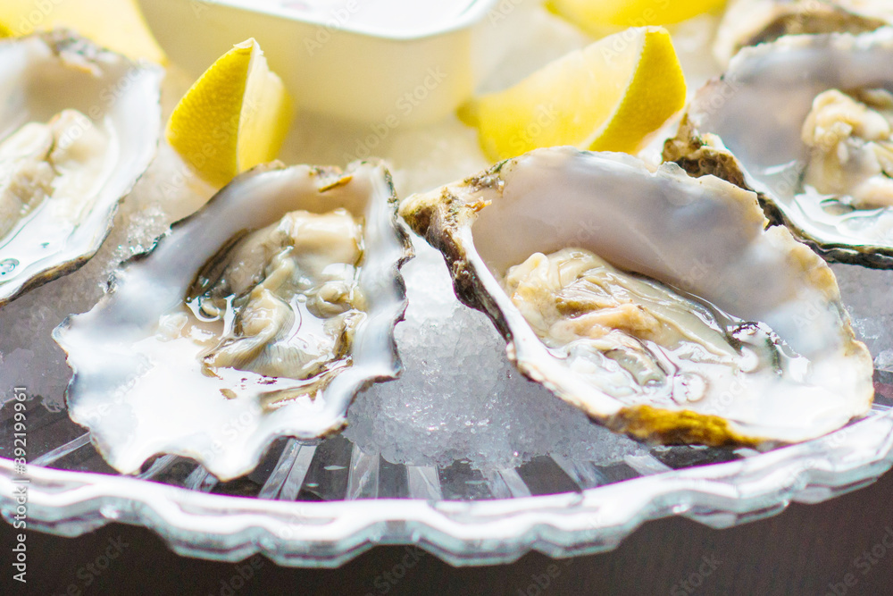 Fresh oysters in a white plate with ice and lemon Fresh oysters in a white plate with ice and lemon