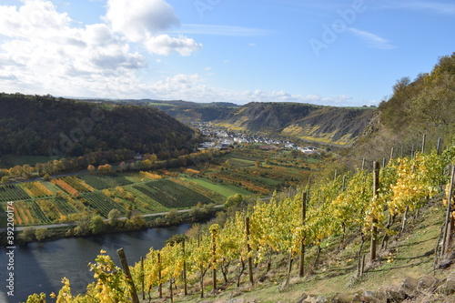 herbstlich gefärbtes Unteres Moseltal im Bereich Winninger Brücke und Dieblich photo