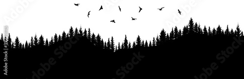 Silhouette of forest and flying birds. Mountainous surface. Beautiful trees (spruce) are separated from each other. Vector illustration