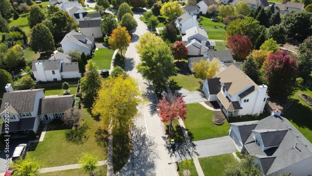 Overhead aerial view of colorful autumn trees residential houses and yards along suburban street in Chicago area. Midwest USA. 4K