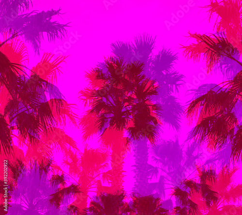 Retro illustration of the bright color of a palm tree © tanor27