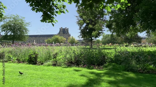 Footage of people walking at public garden called 