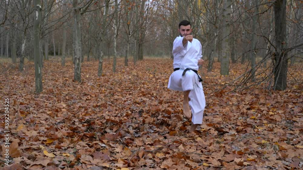 Karate fighter black belt man practicing katas in an outdoor forest in autumn. Karate WadoRyu, Wanshu. 4k video Karate fighter black belt man practicing katas in an outdoor forest in autumn. Karate WadoRyu, Wanshu. 4k video