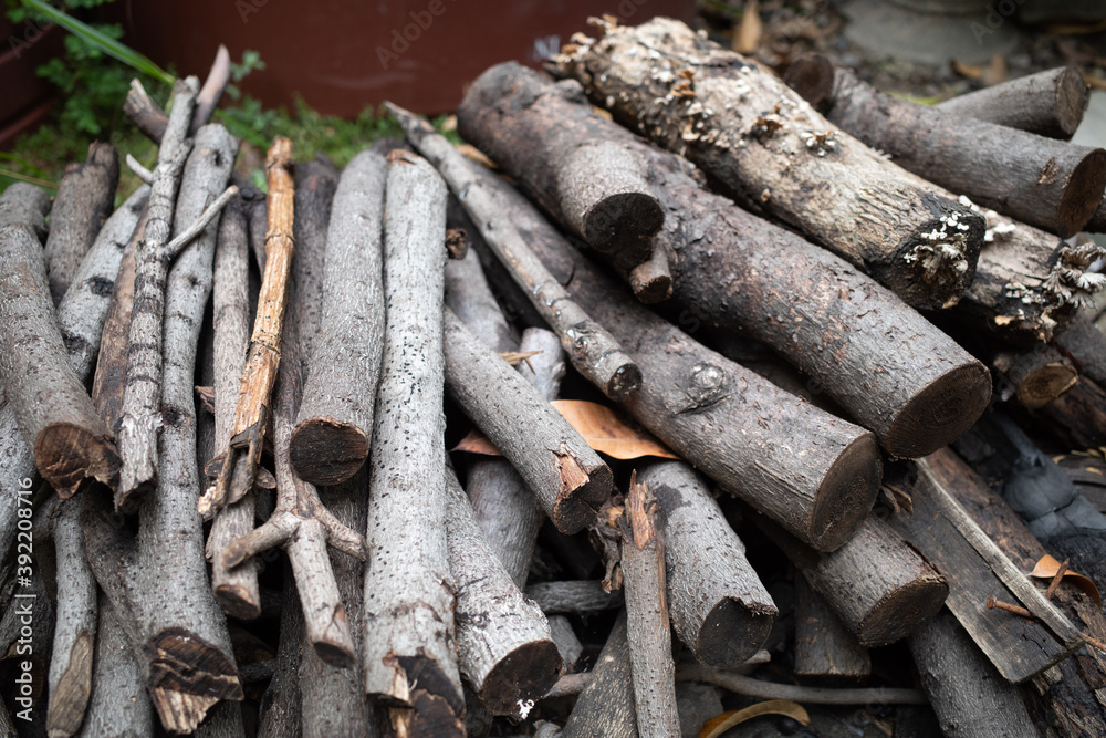 Firewood placed overlap on the ground Firewood placed overlap on the ground