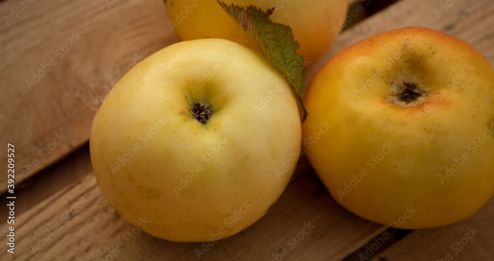 Two big apples on a wooden background close up