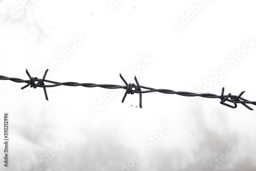 Barbed wire against grey foggy sky. No access, trespassing or freedom concept.