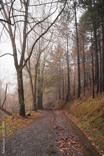 road in the mountain in autumn season, autumn leaves and autumn colors. Bilbao, Spain © Ismael