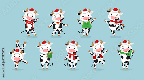Fototapeta Naklejka Na Ścianę i Meble -  Happy New Year Cartoon Cows Characters. White cows and bulls celebrating the 2021. New Year of Ox. Bull Cartoon character in Santa Hat, Set Funny Animals