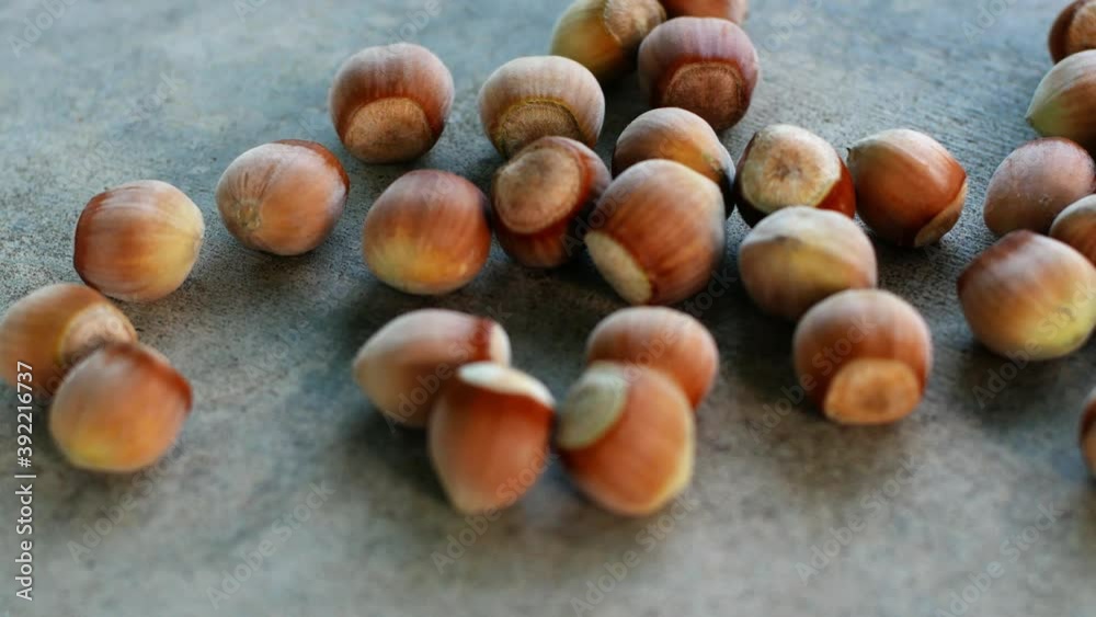 Organic hazelnut falling on gray background. Close-up of a beautiful walnut.
Organic hazelnut falling on gray background. Close-up of a beautiful walnut.